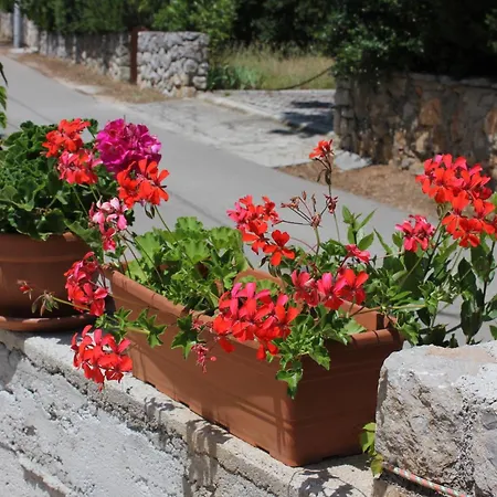 By The Sea Artatore, Losinj - 7935 * Čunski