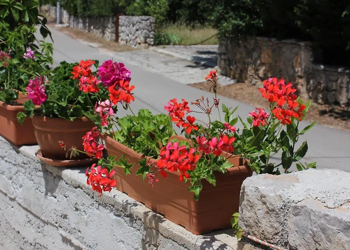 By The Sea Artatore, Losinj - 7935 * Čunski